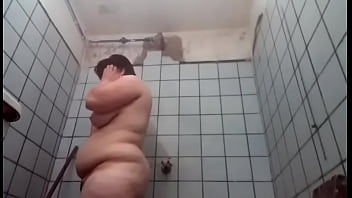 Vitoria stefsni nua