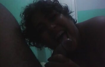 Japinhas boqueteiras